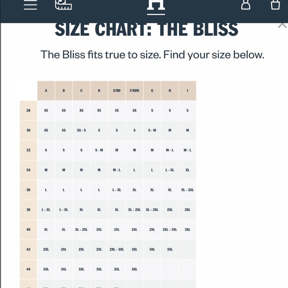 Harper Wilde Bliss Bralette Bundle - Picture 6 of 6